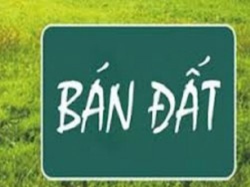 CẦN BÁN ĐẤT ĐƯỜNG NGUYỄN DUY TRINH QUẬN 9 CẦN BÁN ĐẤT ĐƯỜNG NGUYỄN DUY TRINH QUẬN 9